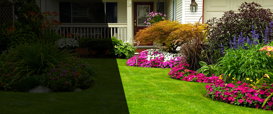 Sauk Centre Landscapers