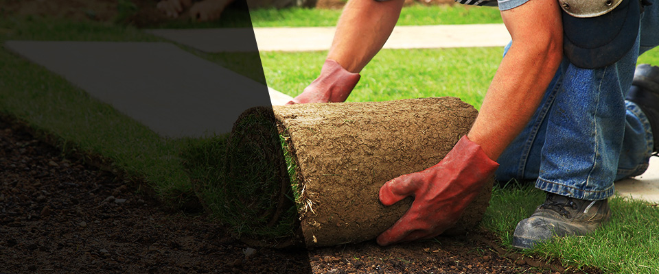 Sauk Centre Landscapers